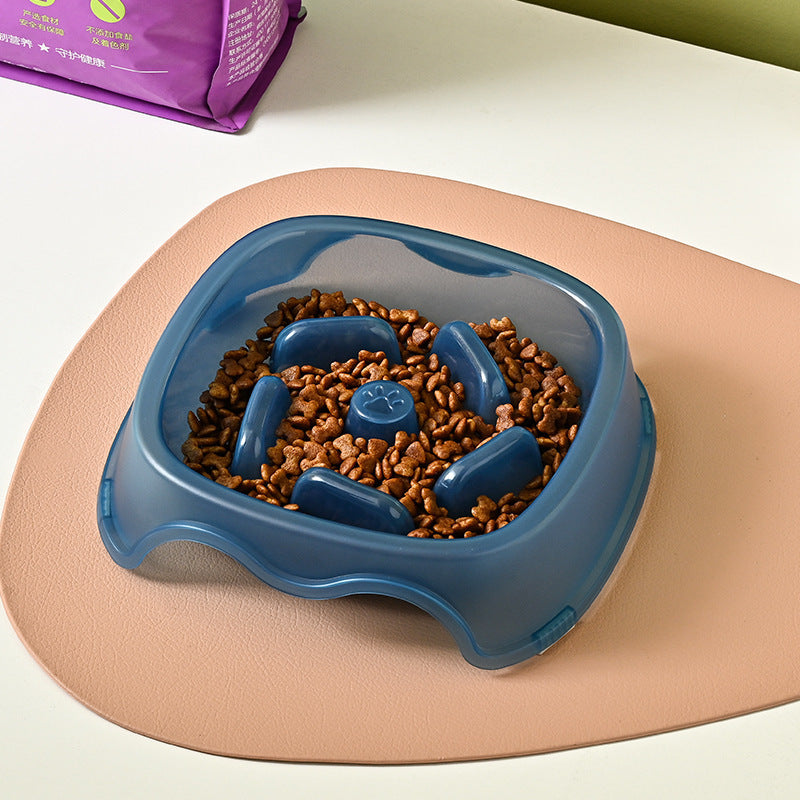 Pet Anti Choking Slow Feeding Water Bowl Dish