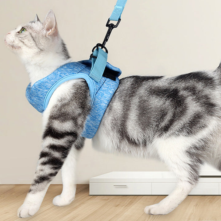 Breathable Lightweight Pet Lace Leash Chest Strap