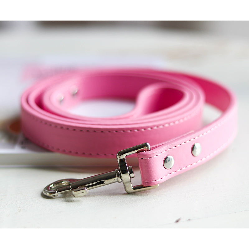 Adjustable Pet Collar And Leash Set