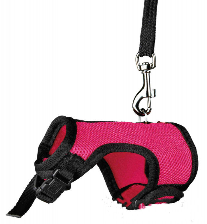 Compact Pet Leash For Everyday Walking Use