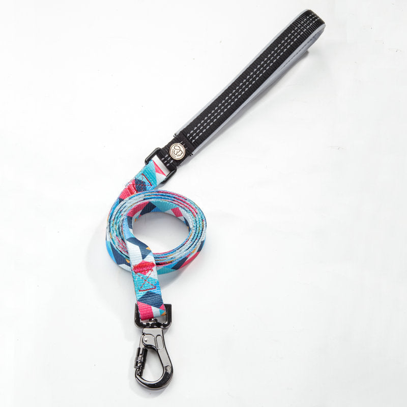 Durable Pet Leash For Daily Walking And Training