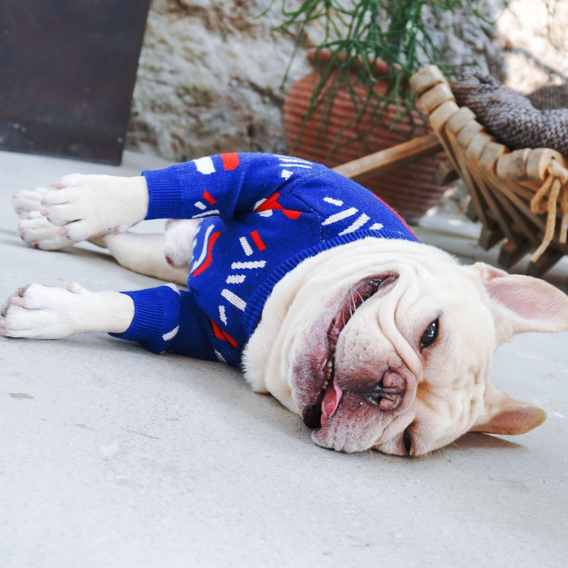 Warm Knitted Pet Sweater For Small Breed Comfort