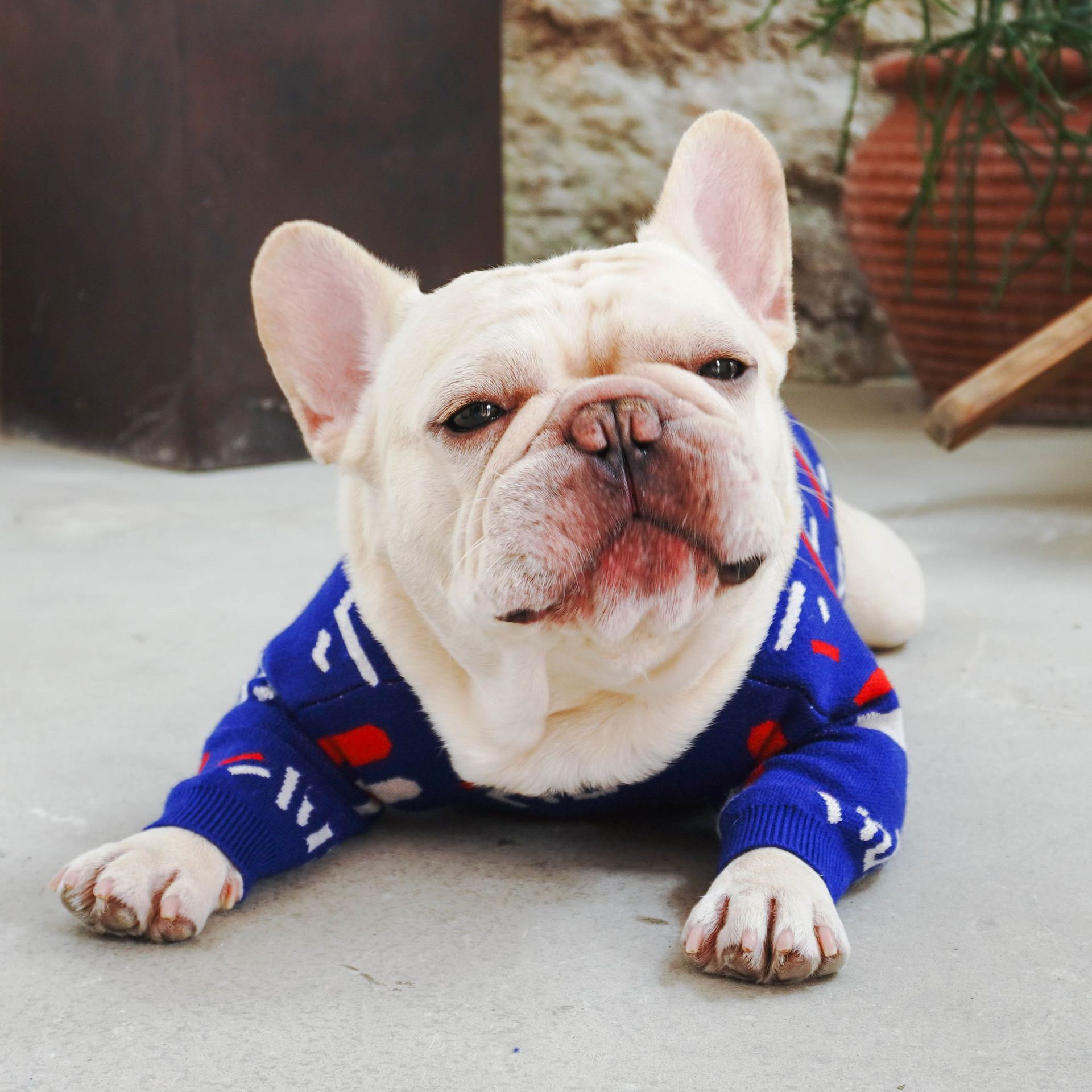 Warm Knitted Pet Sweater For Small Breed Comfort