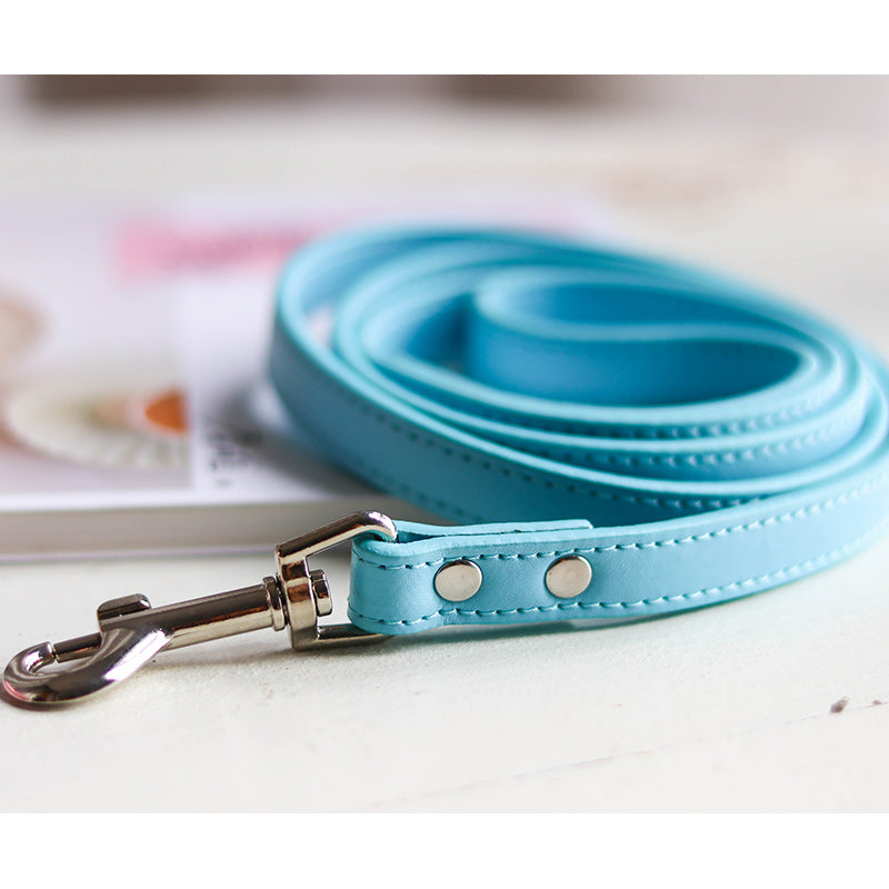 Adjustable Pet Collar And Leash Set