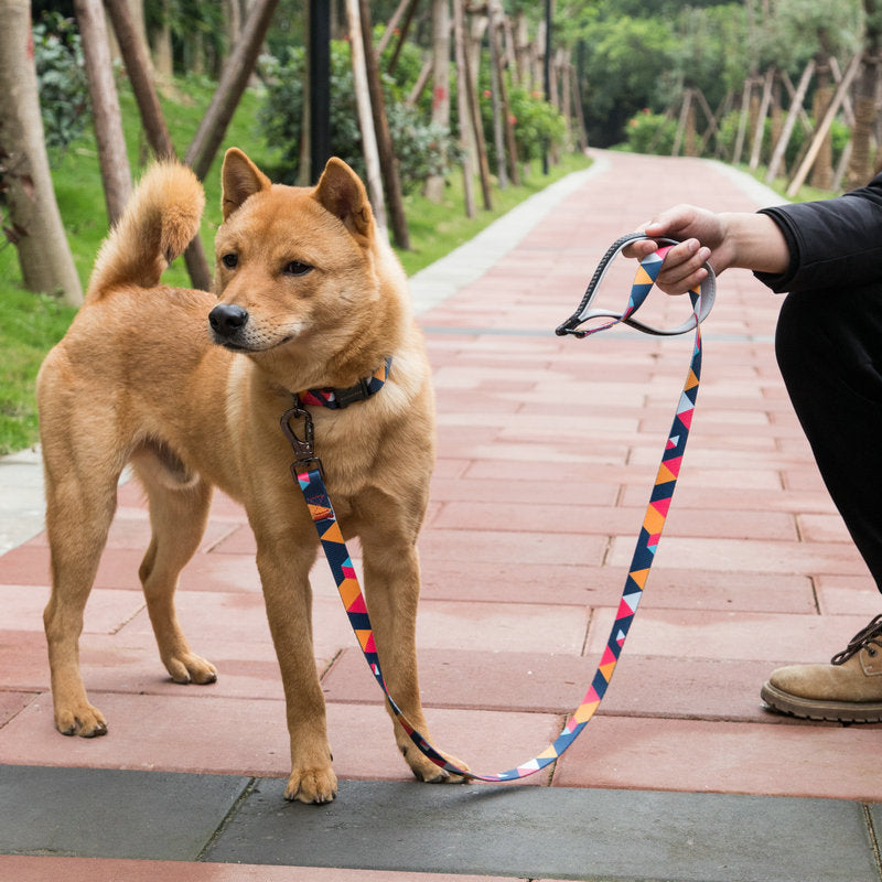 Durable Pet Leash For Daily Walking And Training