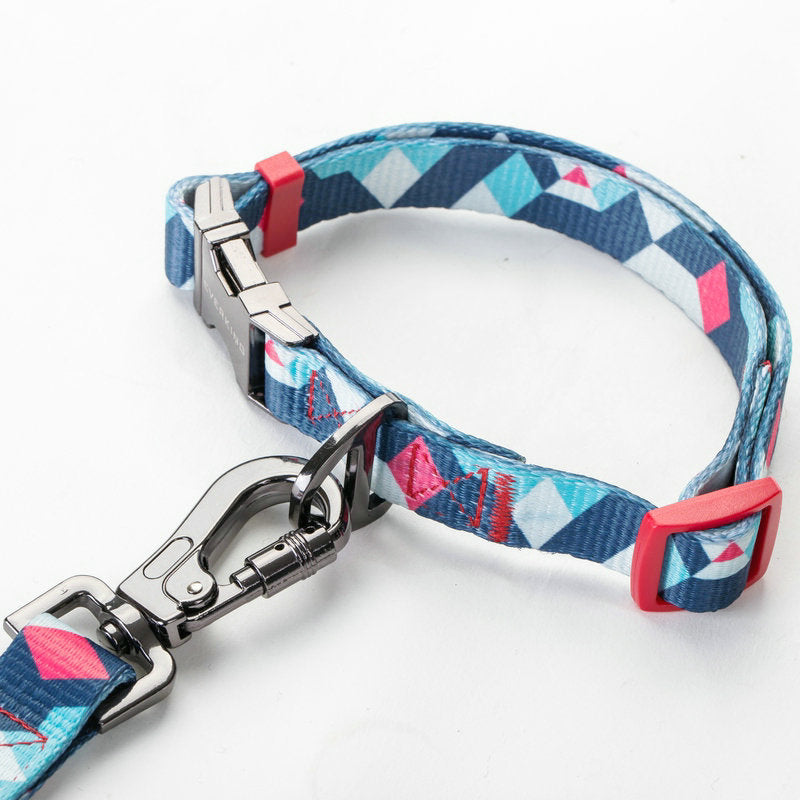 Durable Pet Leash For Daily Walking And Training
