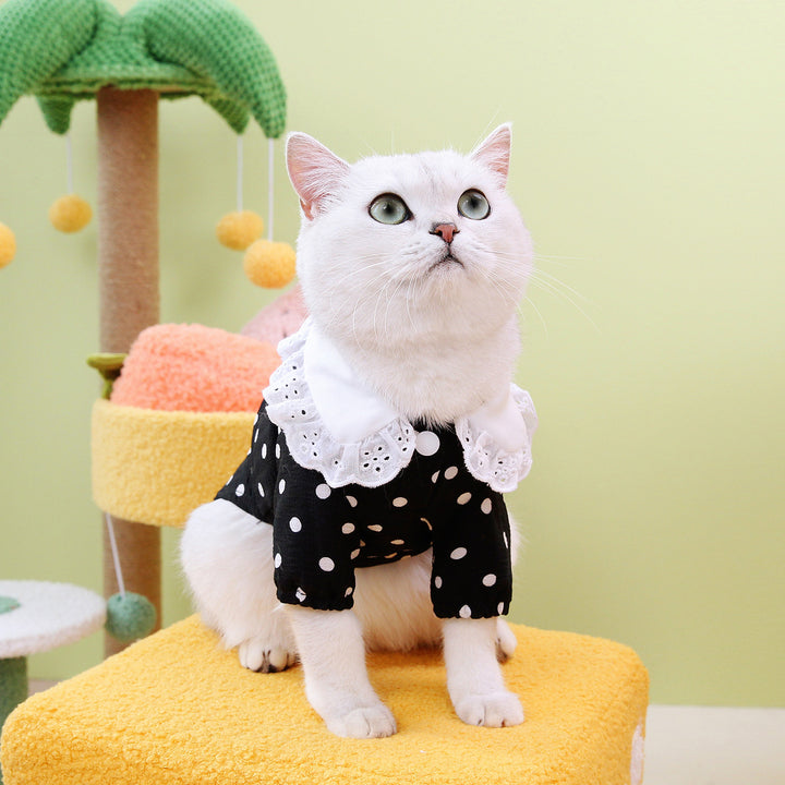 Blue Ragdoll Style Pet T Shirt Clothing Apparel