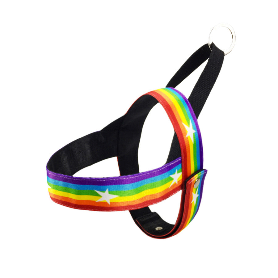 Rainbow Color Pet Chain Leash Stylish Durable Design