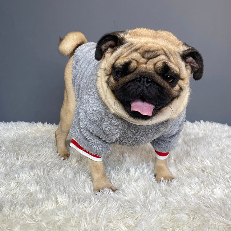 Warm Knitted Pet Sweater For Cold Weather