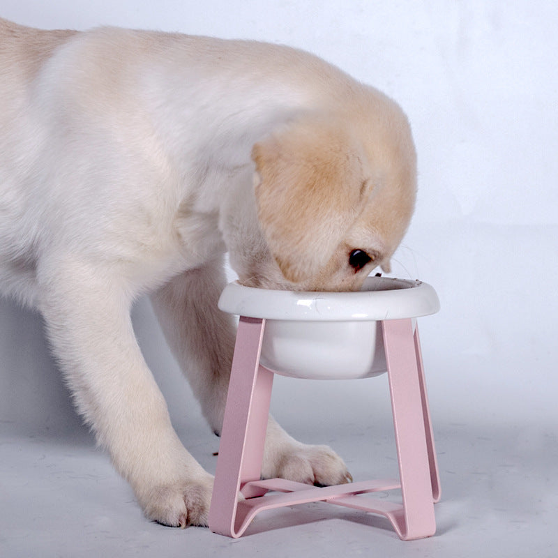 Anti Slip Pet Double Feeding Bowl With Iron Stand