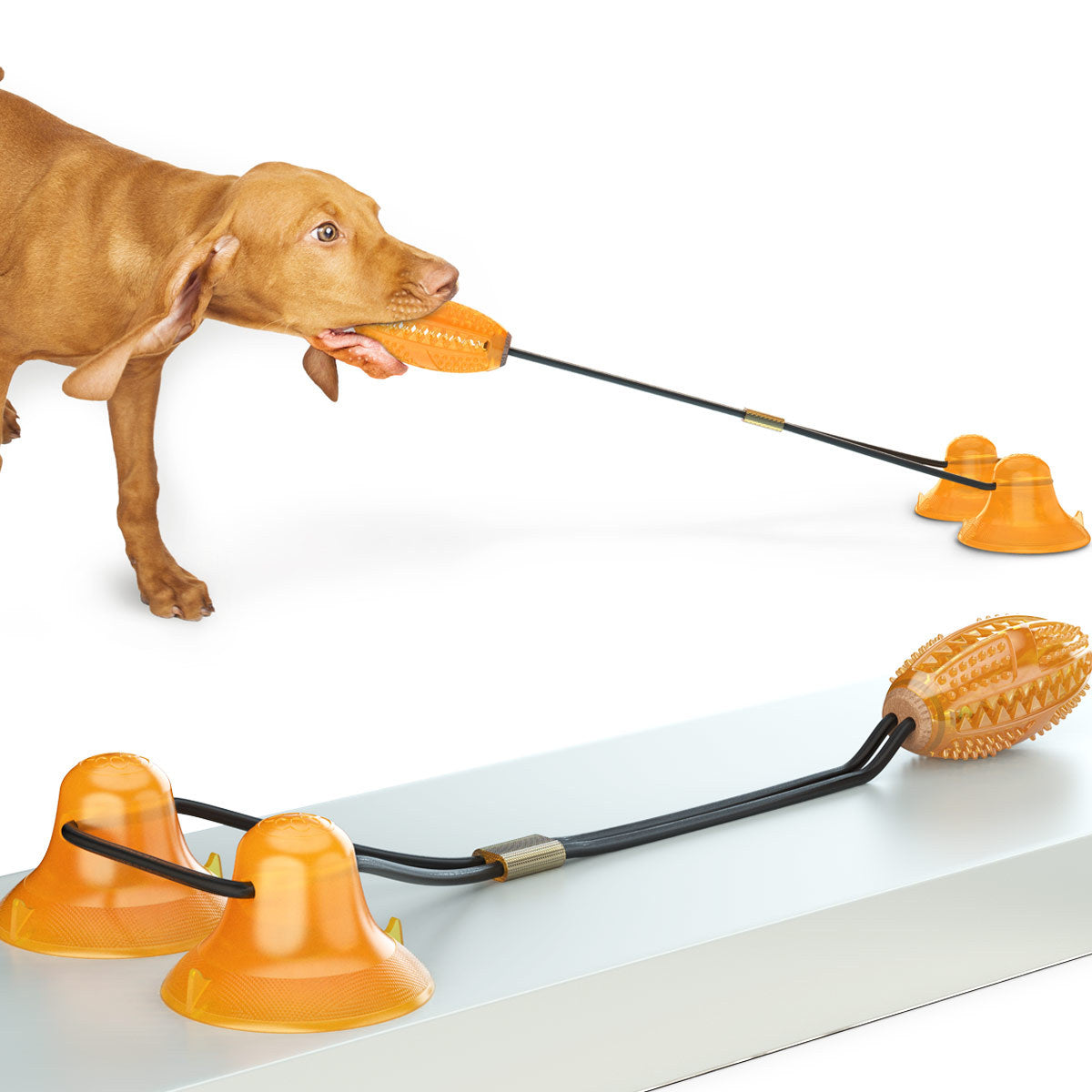 Multifunction Pet Tug Rope Ball Toy With Suction Base