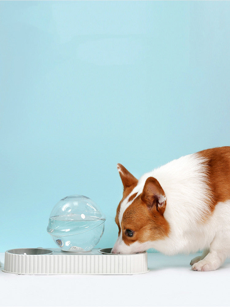 Pet Plastic Automatic Feeding Water Dispenser Bowl Set