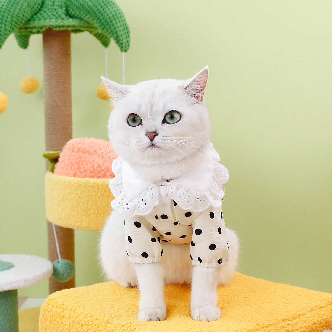 Blue Ragdoll Style Pet T Shirt Clothing Apparel