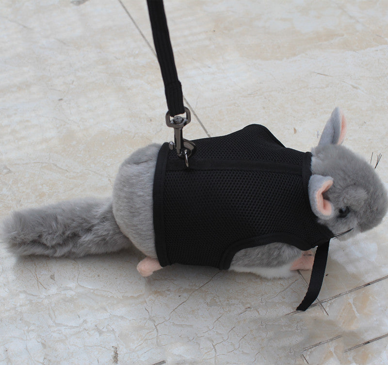 Compact Pet Leash For Everyday Walking Use