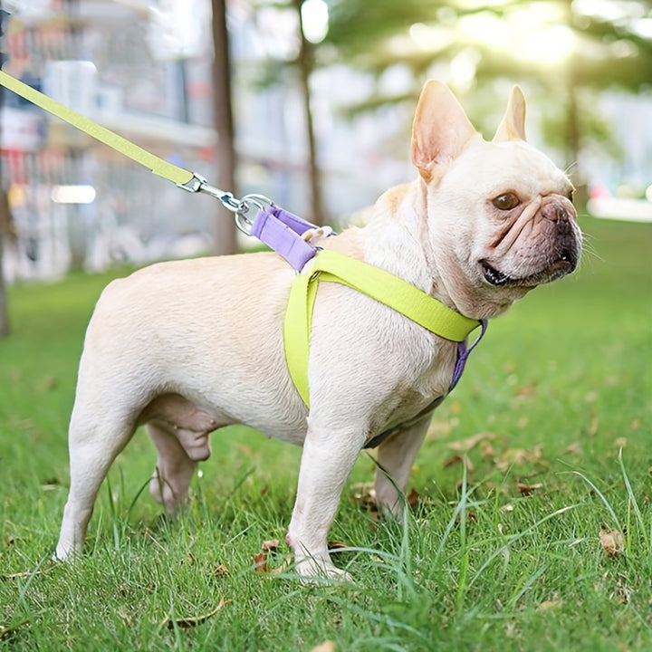 Rainbow Colorblock Pet Harness Anti Escape Vest Leash Set
