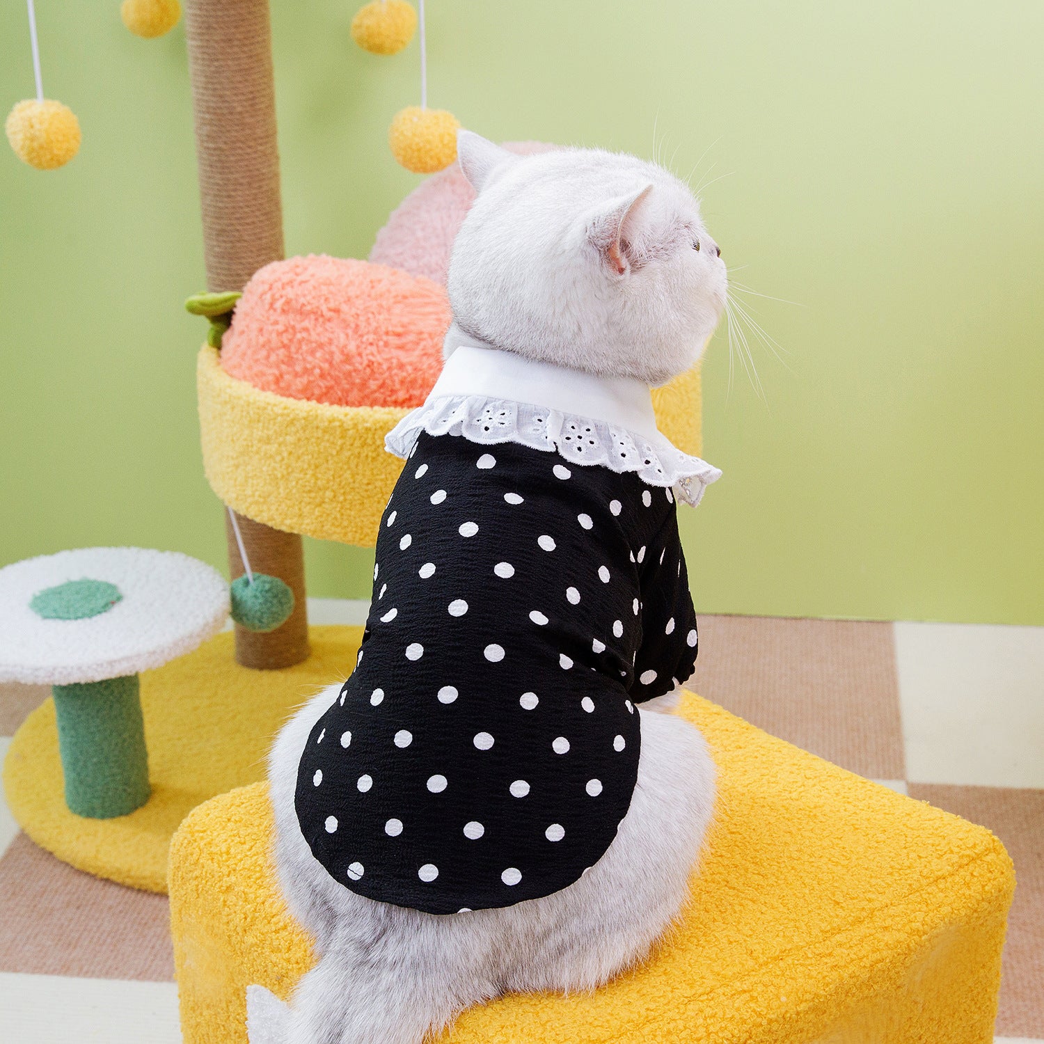 Blue Ragdoll Style Pet T Shirt Clothing Apparel
