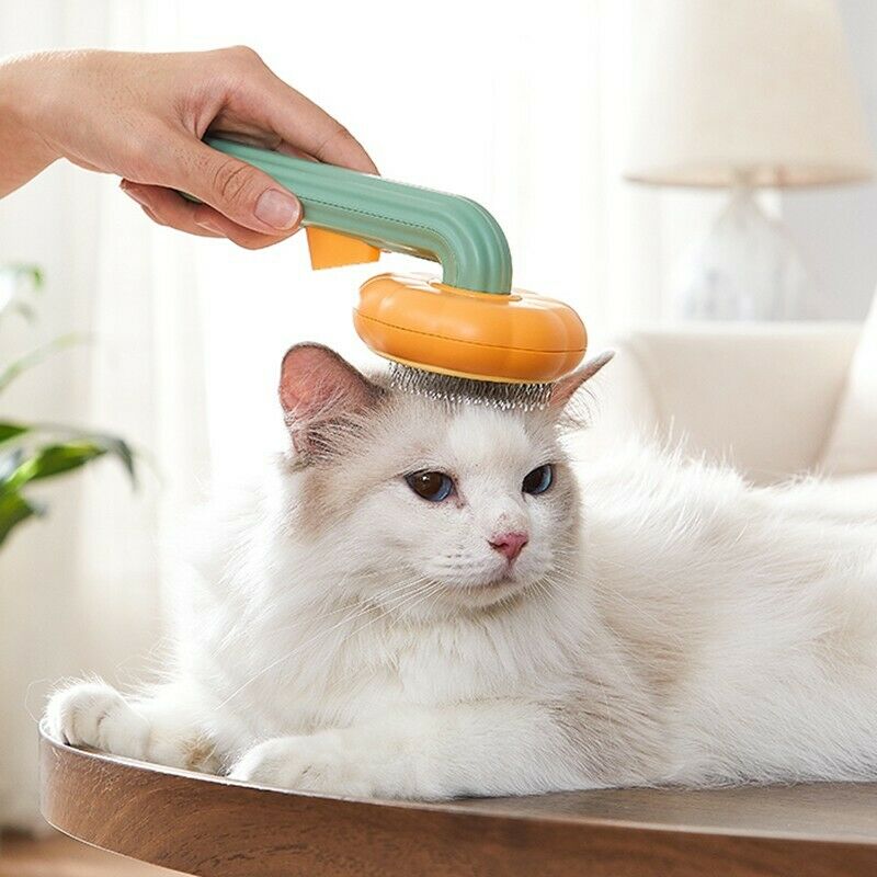 Pumpkin Style Pet Grooming Self Cleaning Slicker Brush