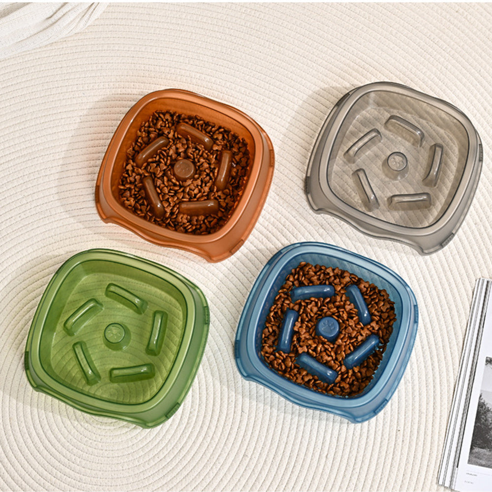 Pet Anti Choking Slow Feeding Water Bowl Dish