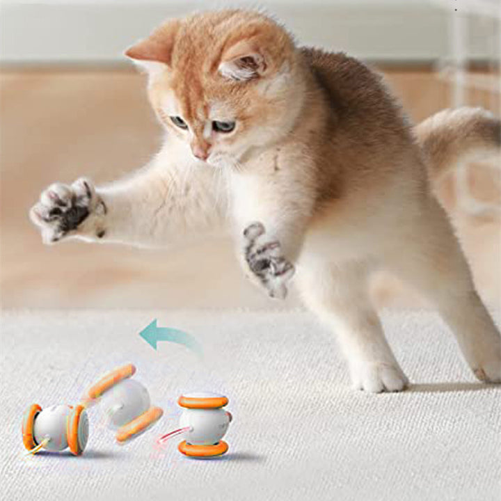 Electric Intelligent Rechargeable Pet Teasing Toy For Play And Exercise