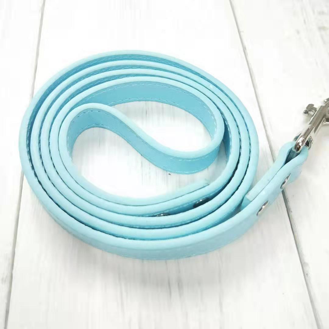 Adjustable Pet Collar And Leash Set