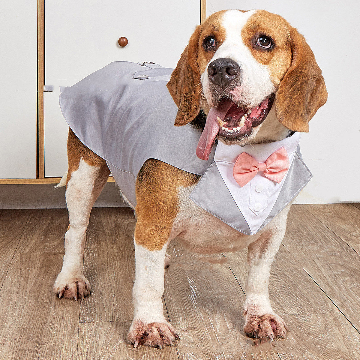 Formal Pet Suit Jacket For Special Occasion Wear