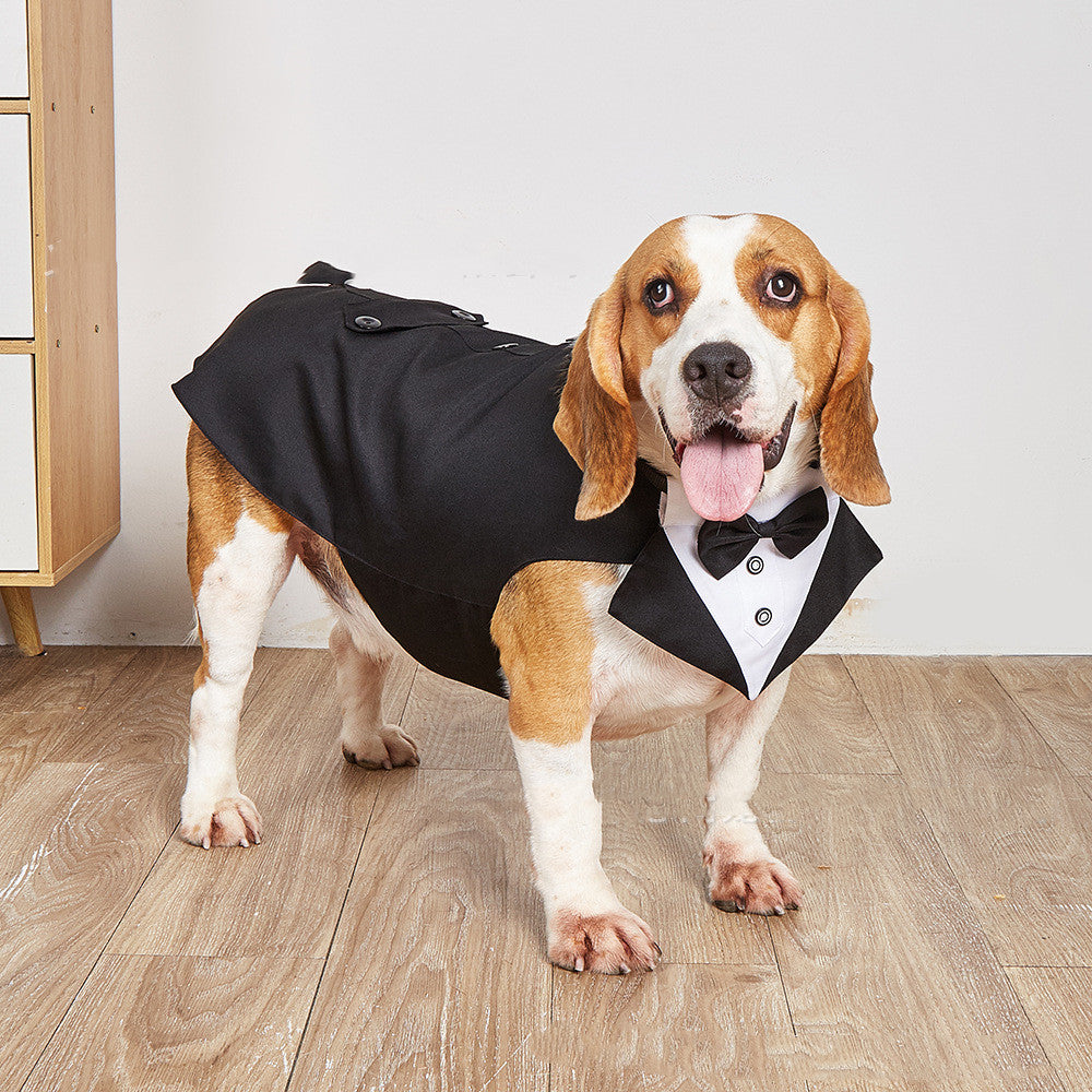 Formal Pet Suit Jacket For Special Occasion Wear