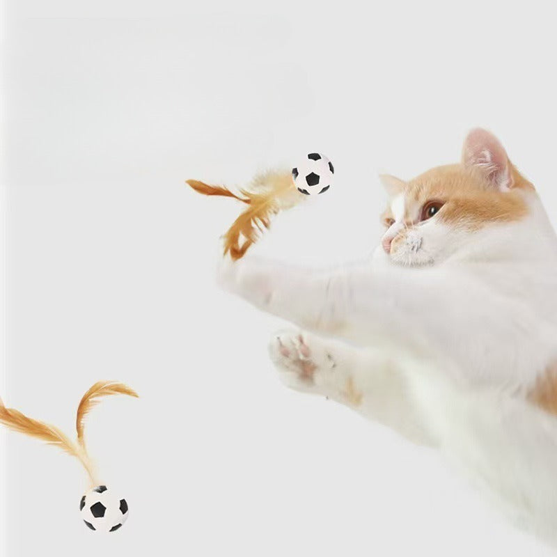 Interactive Pet Toy Balls With Feather Bouncy Design