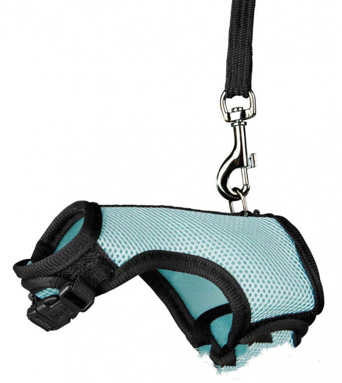 Compact Pet Leash For Everyday Walking Use