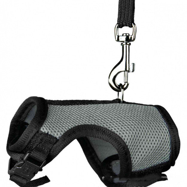 Compact Pet Leash For Everyday Walking Use