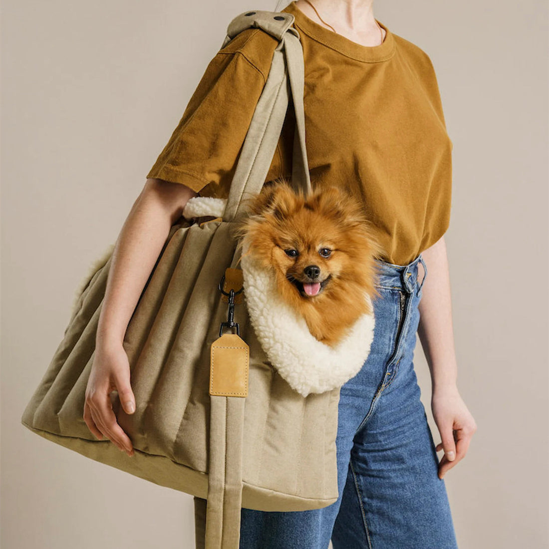 Lightweight Waterproof Pet Carrier Handbag For Outdoor Travel And Fashion Use