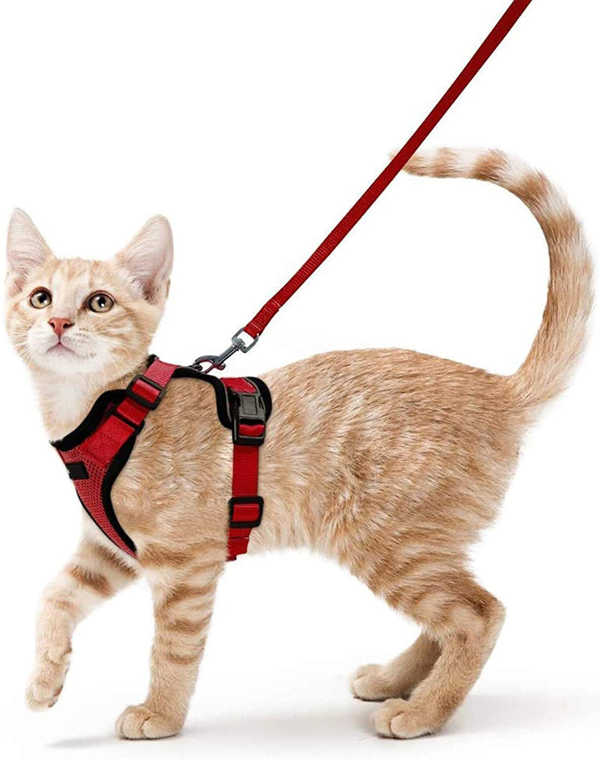 Adjustable Pet Vest Leash Anti Breakaway Secure Harness