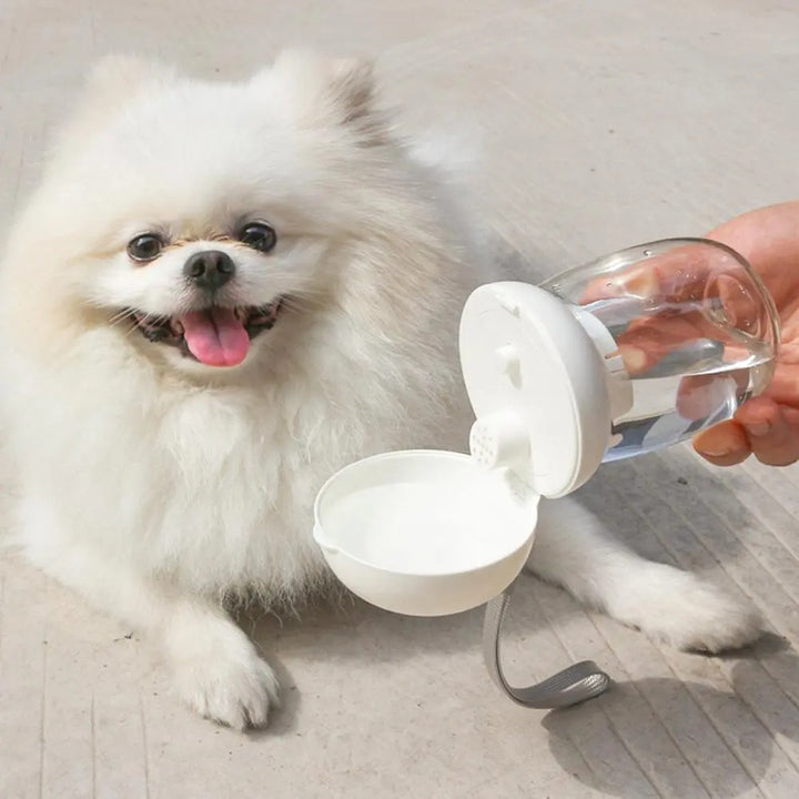 Portable Pet Travel Water Bottle With Drinking Bowl And Lanyard
