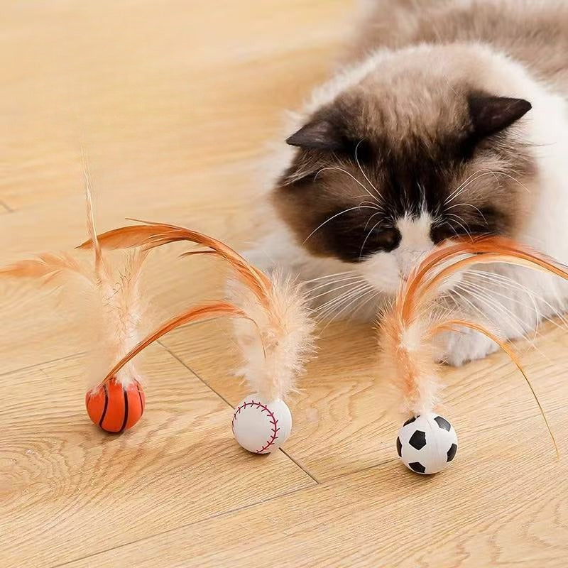 Interactive Pet Toy Balls With Feather Bouncy Design