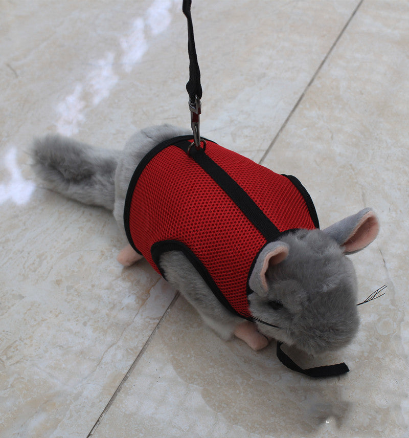 Compact Pet Leash For Everyday Walking Use
