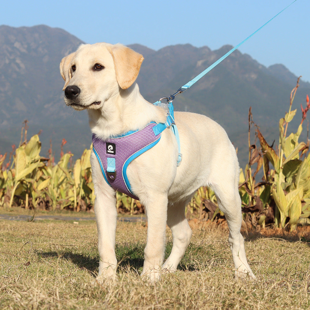 Adjustable Breathable Pet Harness With Leash Set