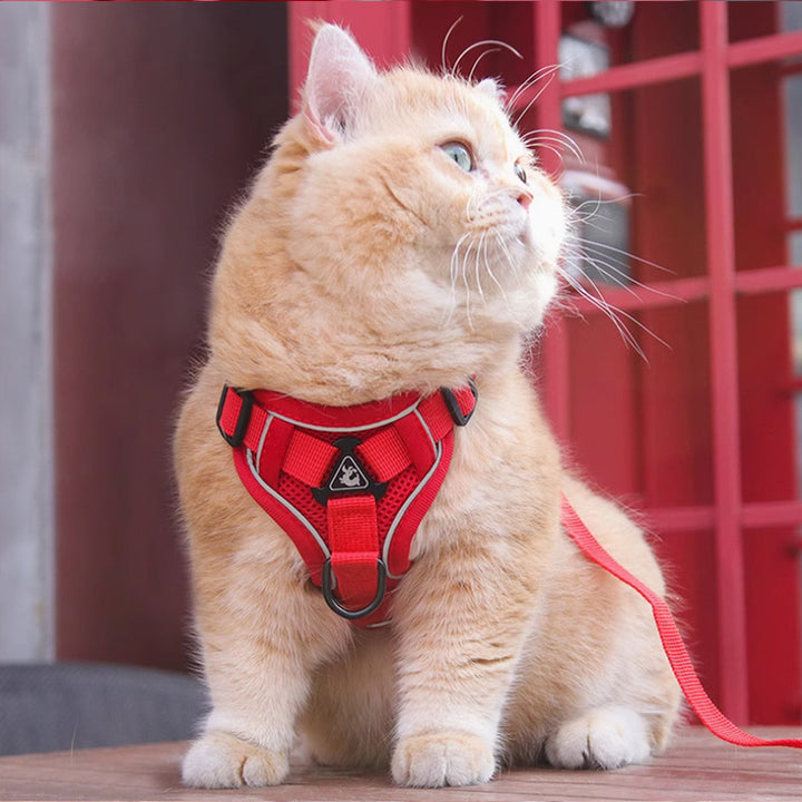 Pet Harness Vest Chest Strap With Leash