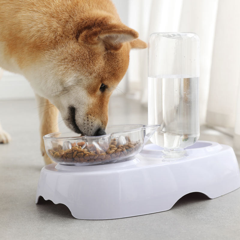 Pet Transparent Plastic Feeding Drinking Bowl Dish