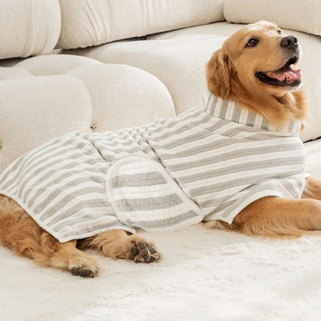 Ultra Absorbent Quick Dry Pet Bath Towel For All Sizes