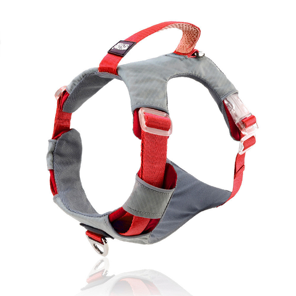 Explosion Proof Pet Chest Strap Leash Storage Bag Adjustable Harness