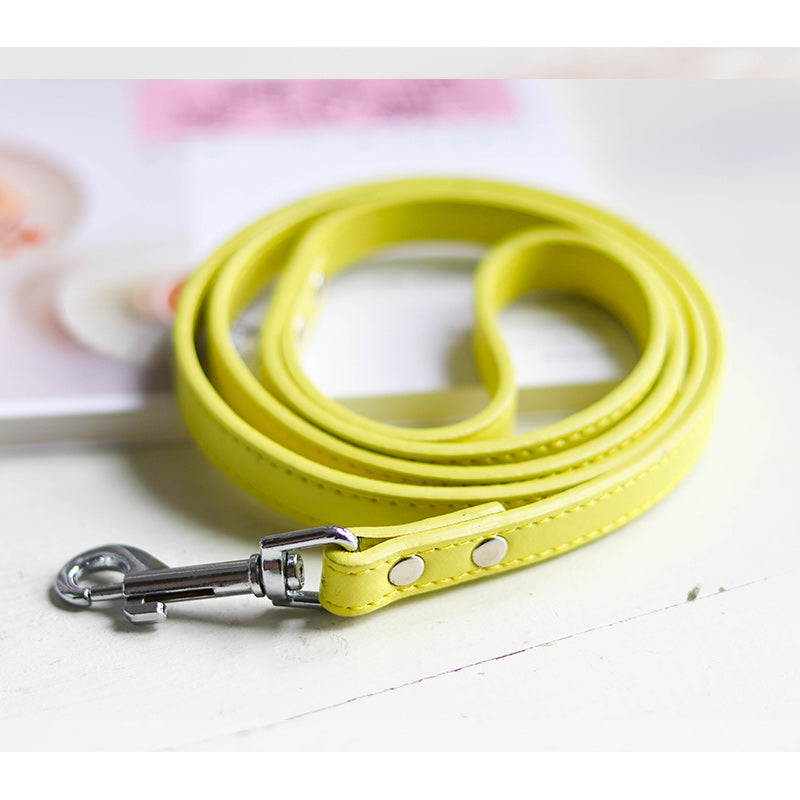 Adjustable Pet Collar And Leash Set