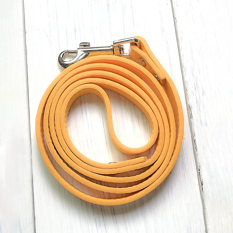 Adjustable Pet Collar And Leash Set