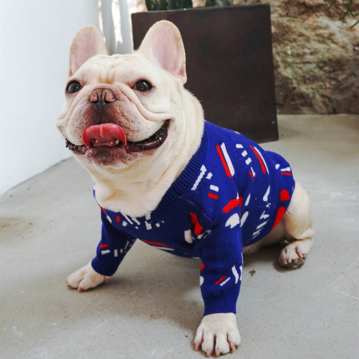 Warm Knitted Pet Sweater For Small Breed Comfort