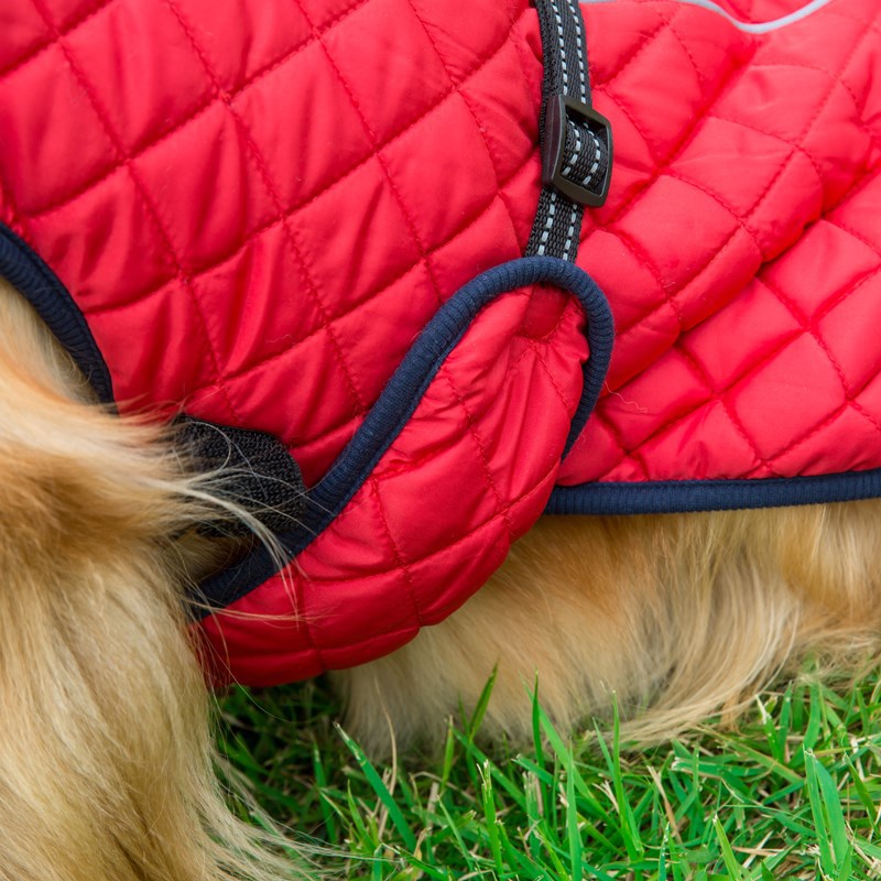 Adjustable Warm Cotton Pet Jacket For Comfort