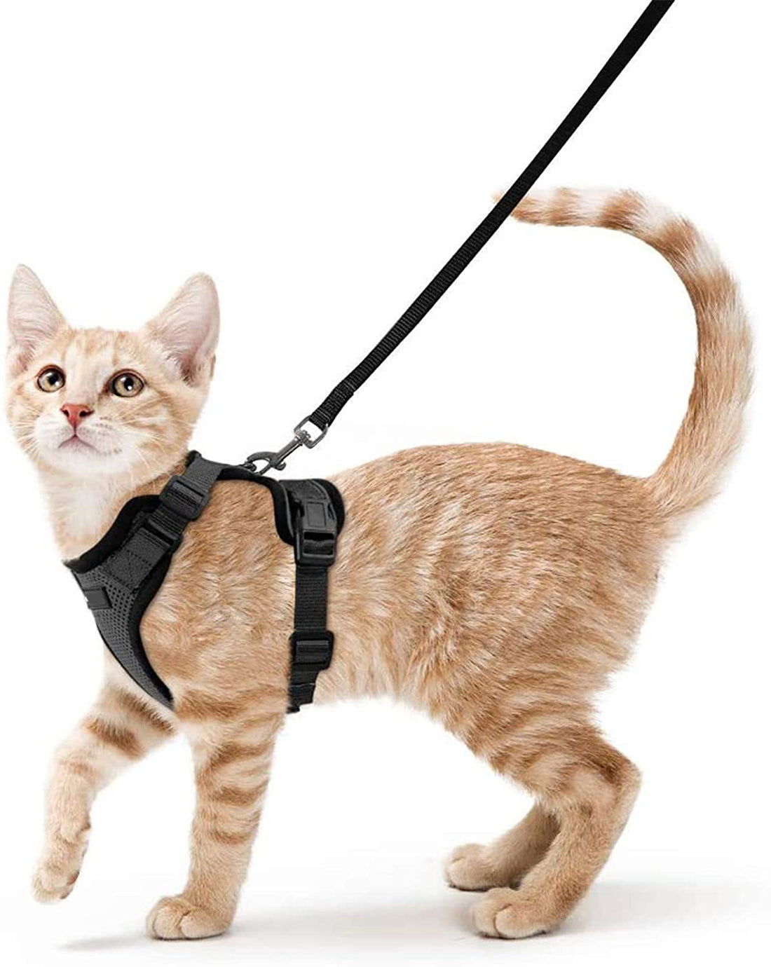 Adjustable Pet Vest Leash Anti Breakaway Secure Harness