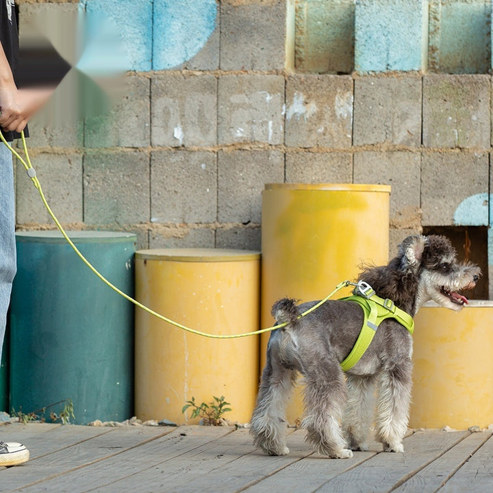 Colorful Adjustable Sliding Pet Leash For Control