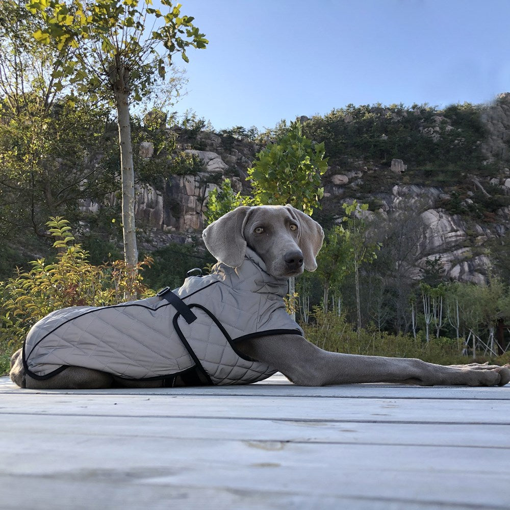 Pet Full Body Reflective Tactical Jacket Apparel