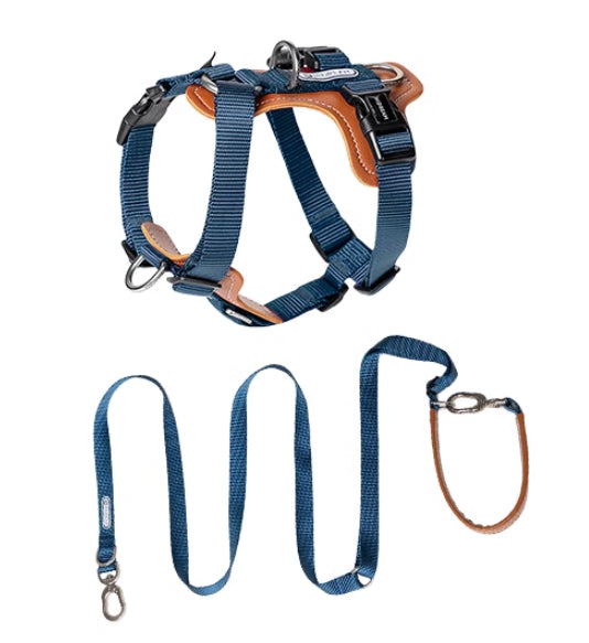 Pet Multifunctional Chest Strap Rope Leash Explosion Proof Design