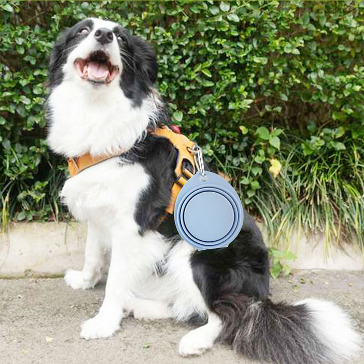 Pet Silicone Foldable Portable Feeding Bowl Outdoor Use