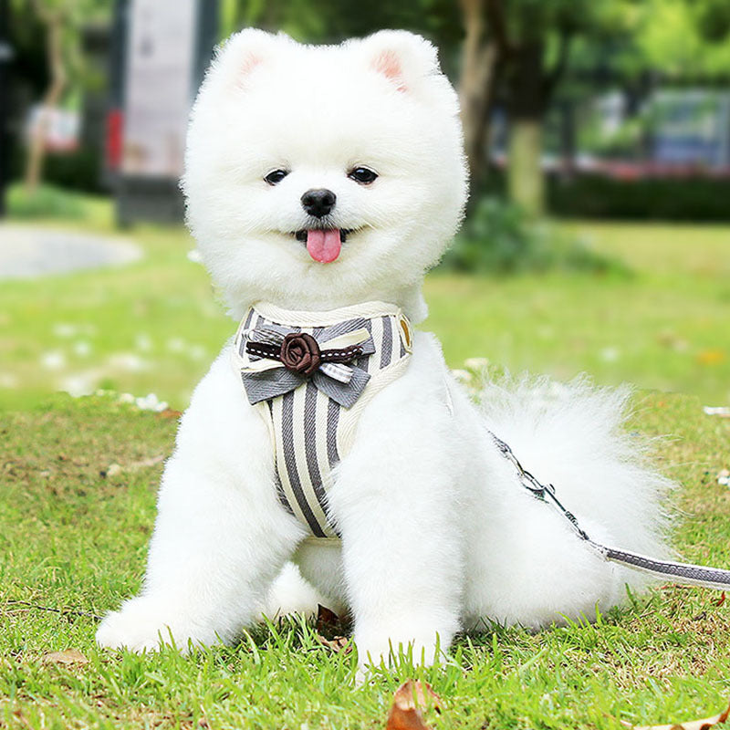 Vest Style Pet Chest Strap Leash Adjustable Walking Harness