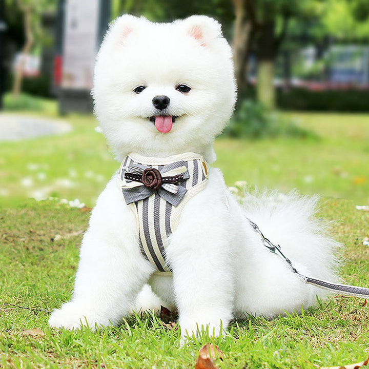 Vest Style Pet Chest Strap Leash Adjustable Walking Harness